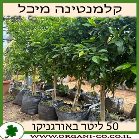 קלמנטינה מיכל 50 ליטר למכירה - מחיר