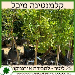 קלמנטינה מיכל 25 ליטר למכירה - מחיר