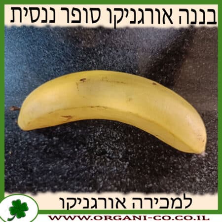 בננה אורגניקו סופר ננסית למכירה - מחיר