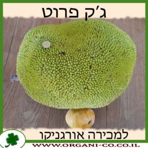 ג'ק פרוט למכירה - מחיר