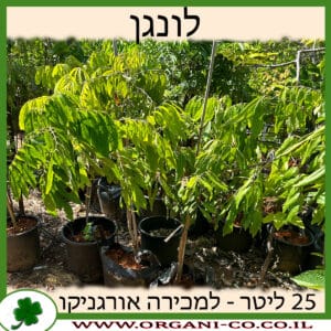 לונגן 25 ליטר למכירה - מחיר