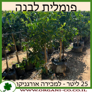 פומלית לבנה 25 ליטר למכירה - מחיר