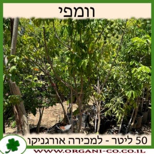 וומפי 50 ליטר למכירה - מחיר